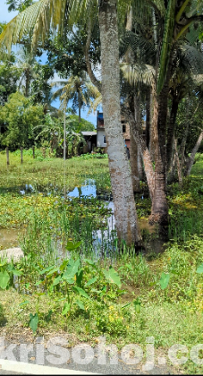 রাস্তার পাশে জমি বিক্রয় করা হবে